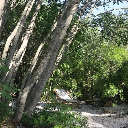 Gospodarstwo wiejskie Trullo Sophie In Valle D'itria Spa Casa Vacanza Di Lusso Ceglie Messapica